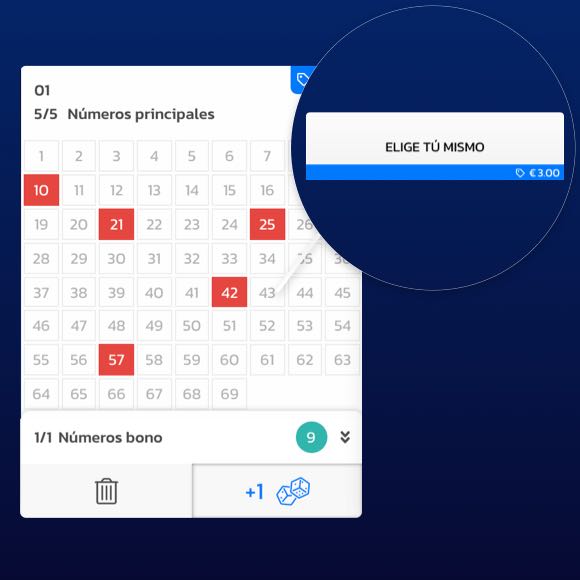 Paso 4 – Elija manualmente sus números de la suerte